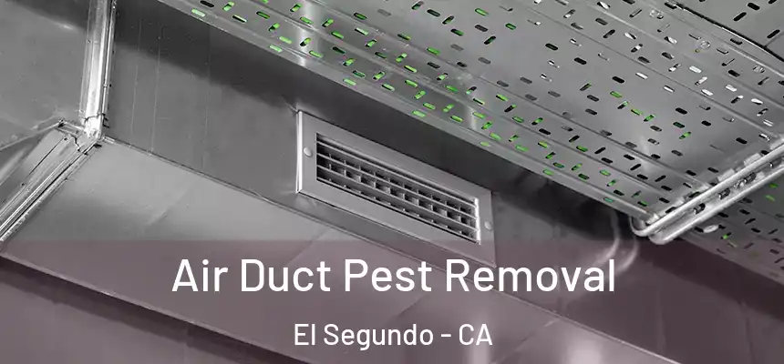  Air Duct Pest Removal El Segundo - CA