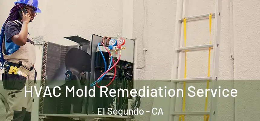  HVAC Mold Remediation Service El Segundo - CA