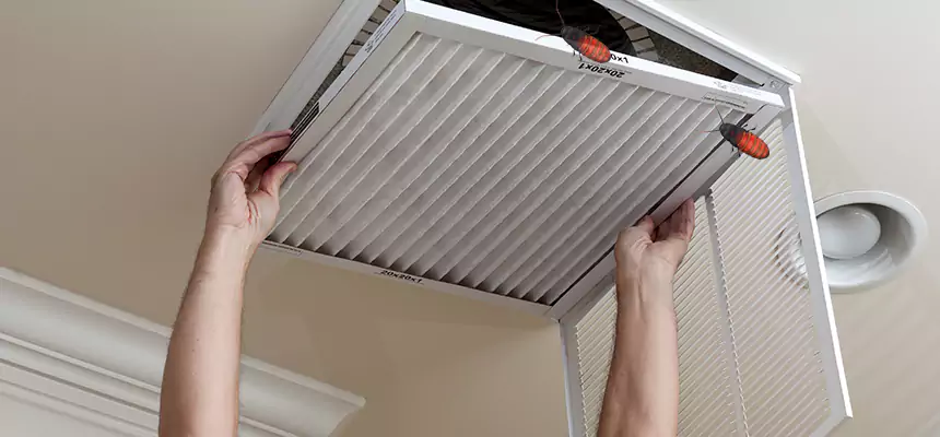 Preventive Cockroach-Proofing for Ducts in El Segundo