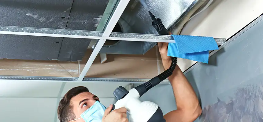 Our Air Duct Rodent Removal Services in El Segundo, CA