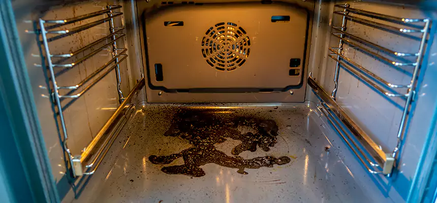 Our Dryer Vent Mold Cleaning Services in El Segundo, CA