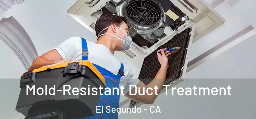  Mold-Resistant Duct Treatment El Segundo - CA