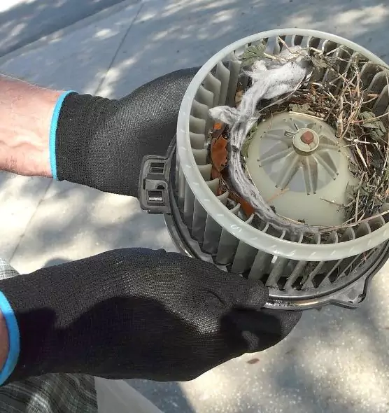 About Air Duct Rat Removal in El Segundo, CA