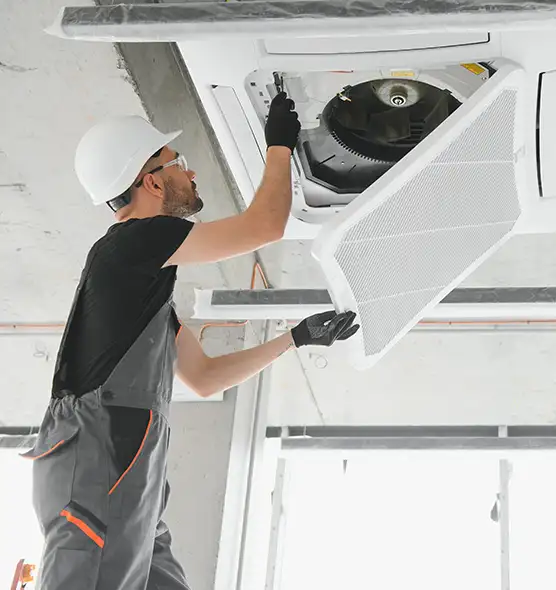 About Air Duct Rodent Removal in El Segundo, CA