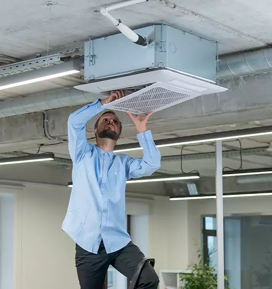 Advanced Rodent Droppings In Vents in El Segundo, CA