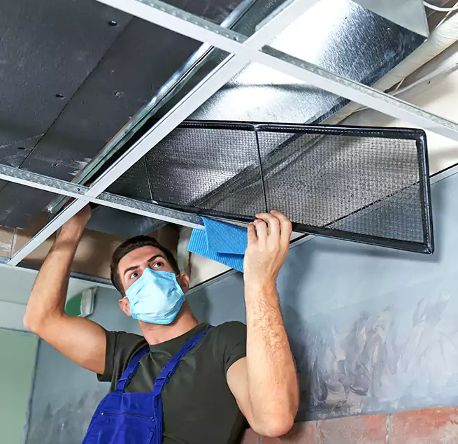 Why Homeowners Businesses Trust Us in El Segundo, CA